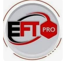 EFT pro tool activation -6 Months (No Need Dongle) 