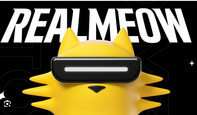 Realme Meow Otp